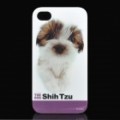 Bonito Shih Tzu Puppy padrão plástico volta caso protetor para iPhone 4 / 4S - branco