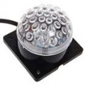 Bulbo de lâmpada-casa multi-Color LED Spot (24V)