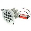 12W 12-1020-Lumen branco luz de LED de teto lâmpada/Down Light - prata (100-240V)