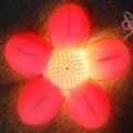 Cereja Blossome Night Moon Light (110 ~ 220V AC)